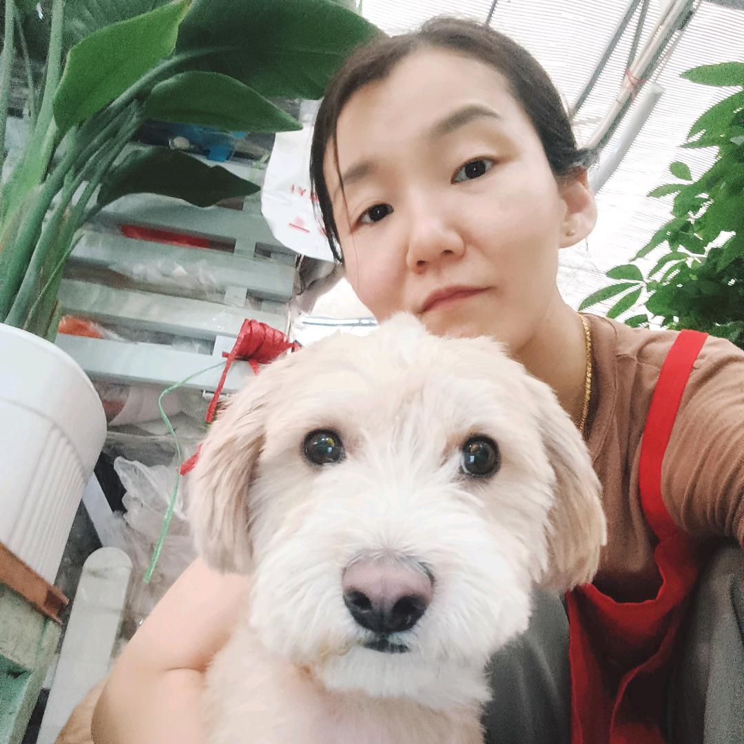 不不讲李