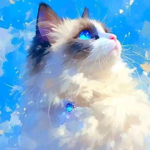 雾里白白✨.Nail