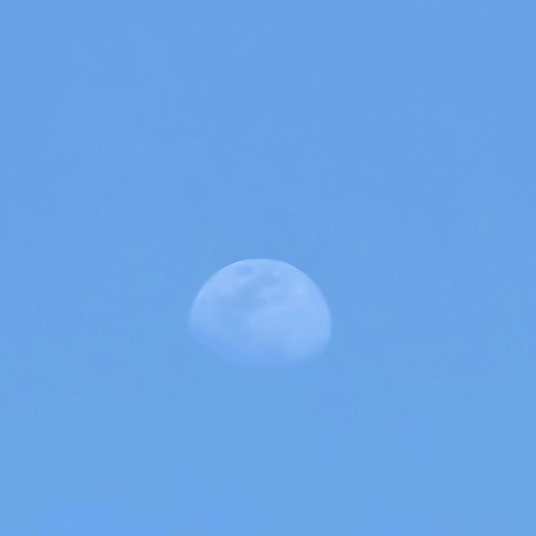 星尘