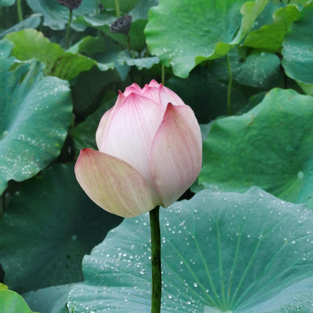 大学对我好一点