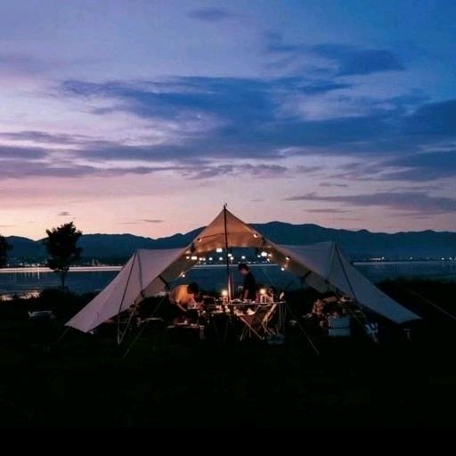 野游记wildcamp