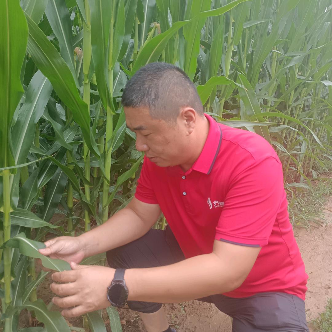 老艾说农（齐商）