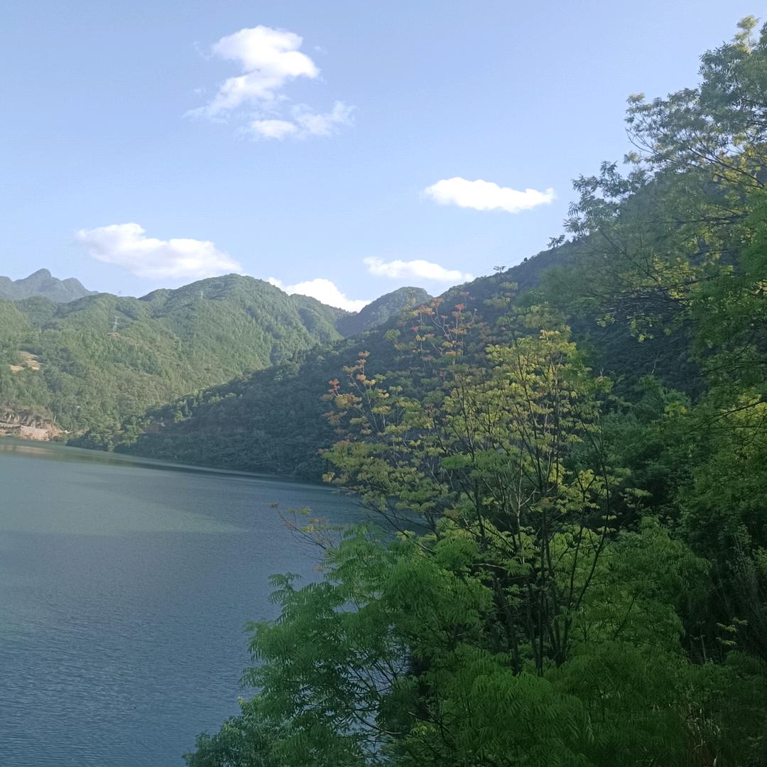随。。缘