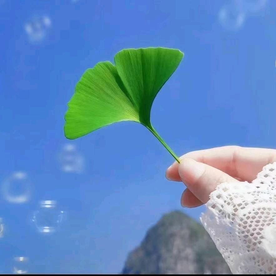 小王小王最坚强