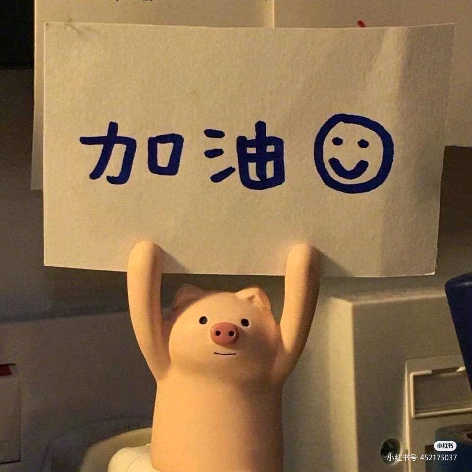 雾中悟理🌟