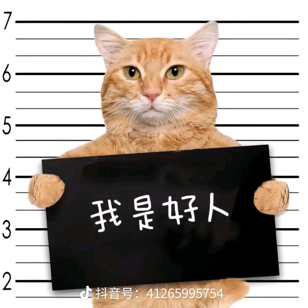 竹子味的熊猫屎