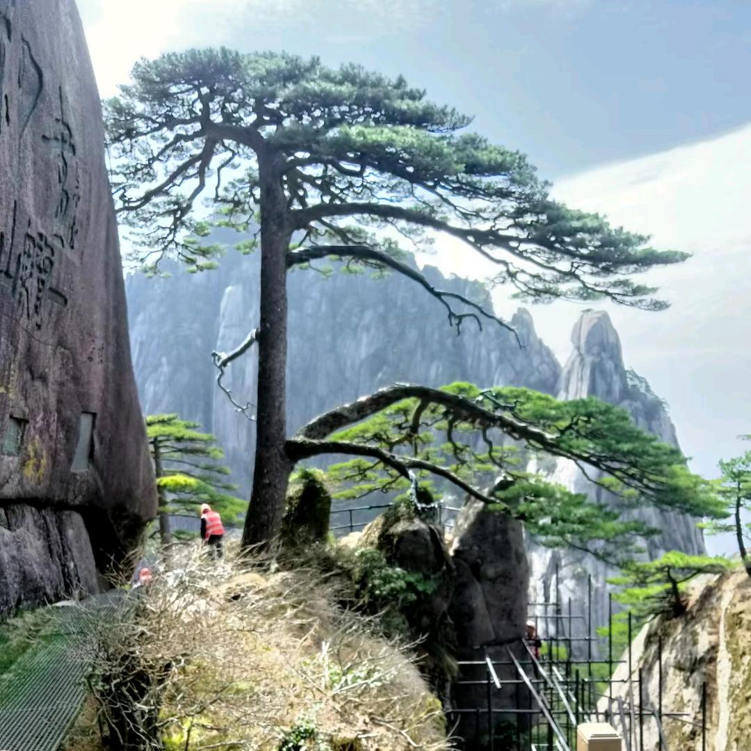 ！！大爱无疆！！