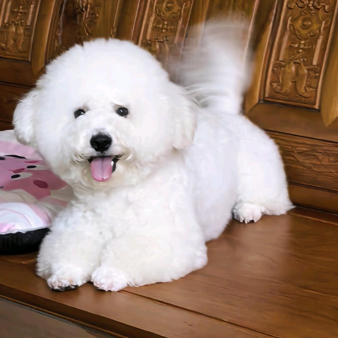 费太太🐣💞🐖