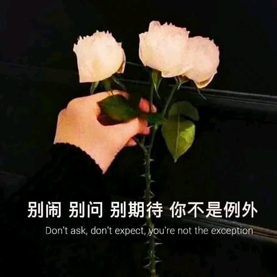 静若禅莲