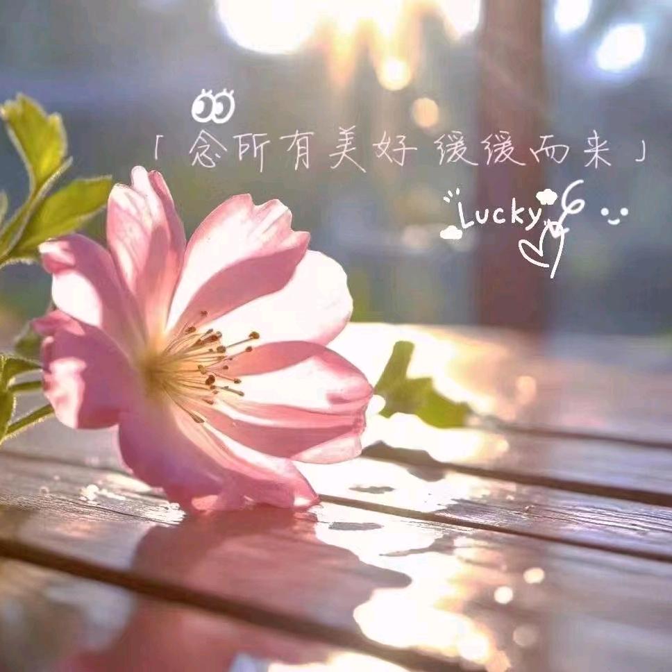 小凤@优选好物