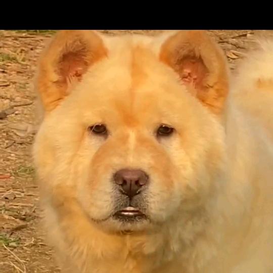 眼哥生态养殖场