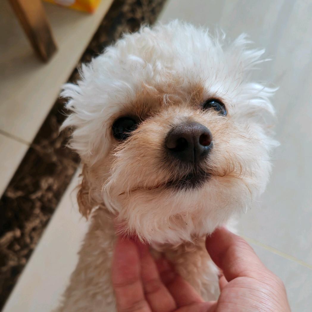 小海
