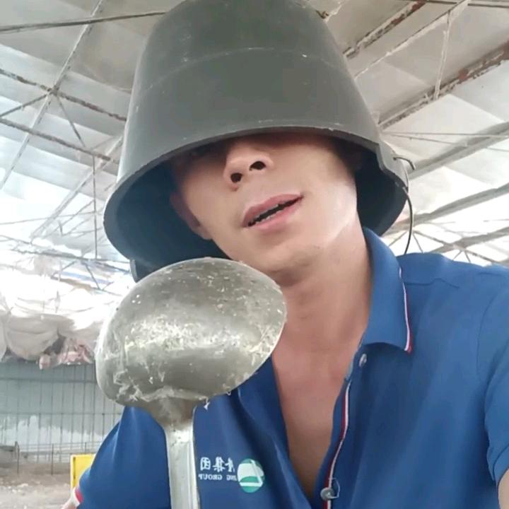 闲不住