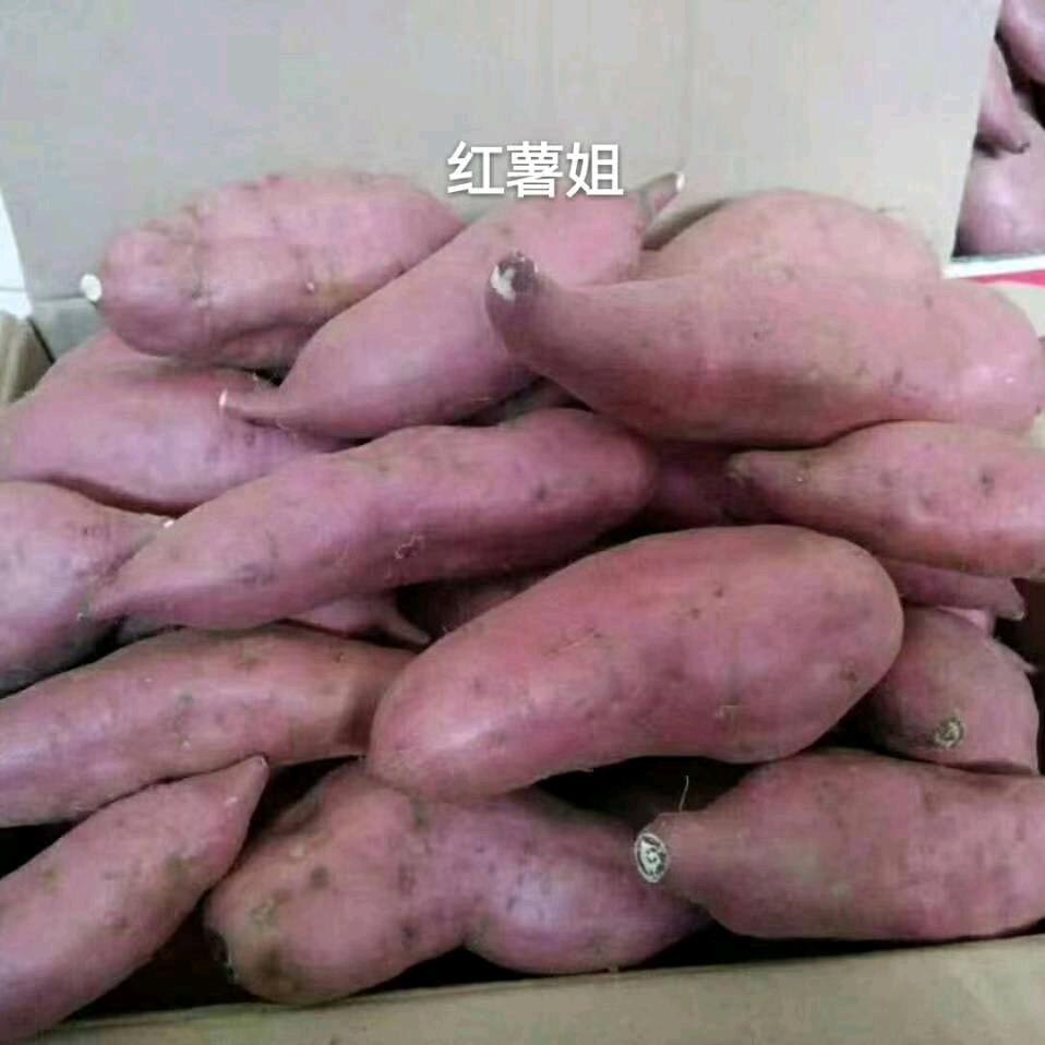 博爱红福姐🍠