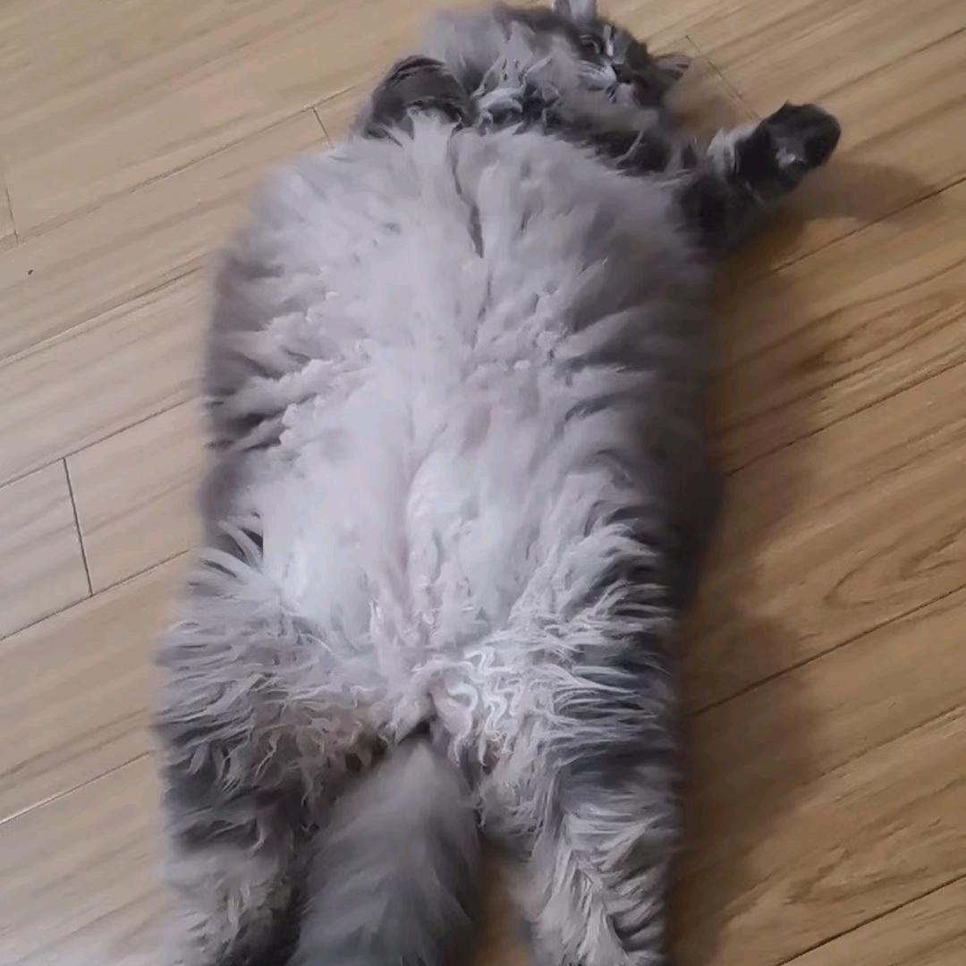 一壶一生