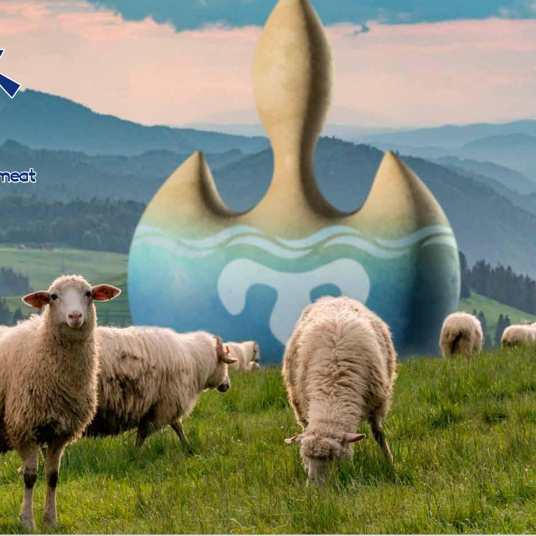 祖母•菌香宫（蒙式火锅）