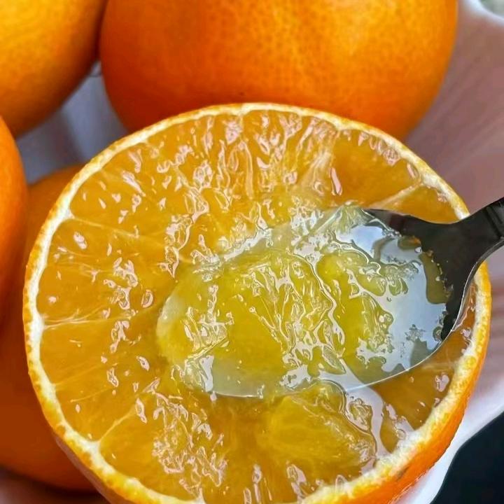 张明种养殖家庭农场