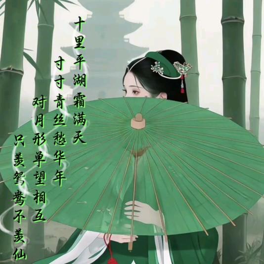 🍀🕊️十里平湖🕊️🍀