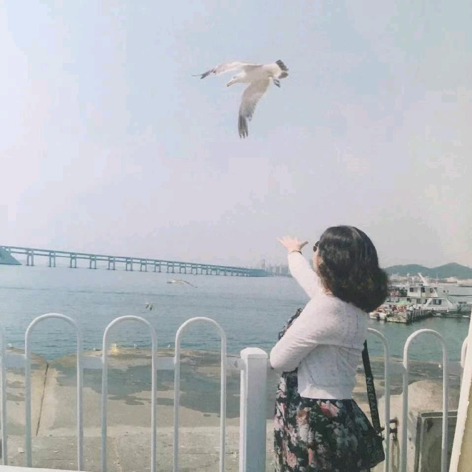 牡丹