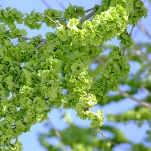 一两三…♑️…