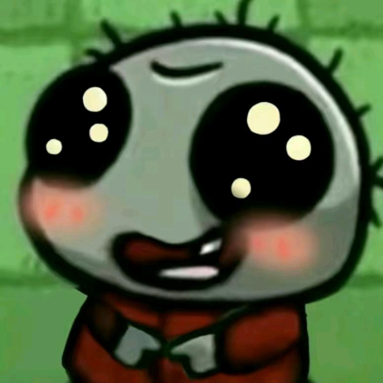 车车喜欢开车🚗