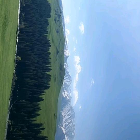 那年十八