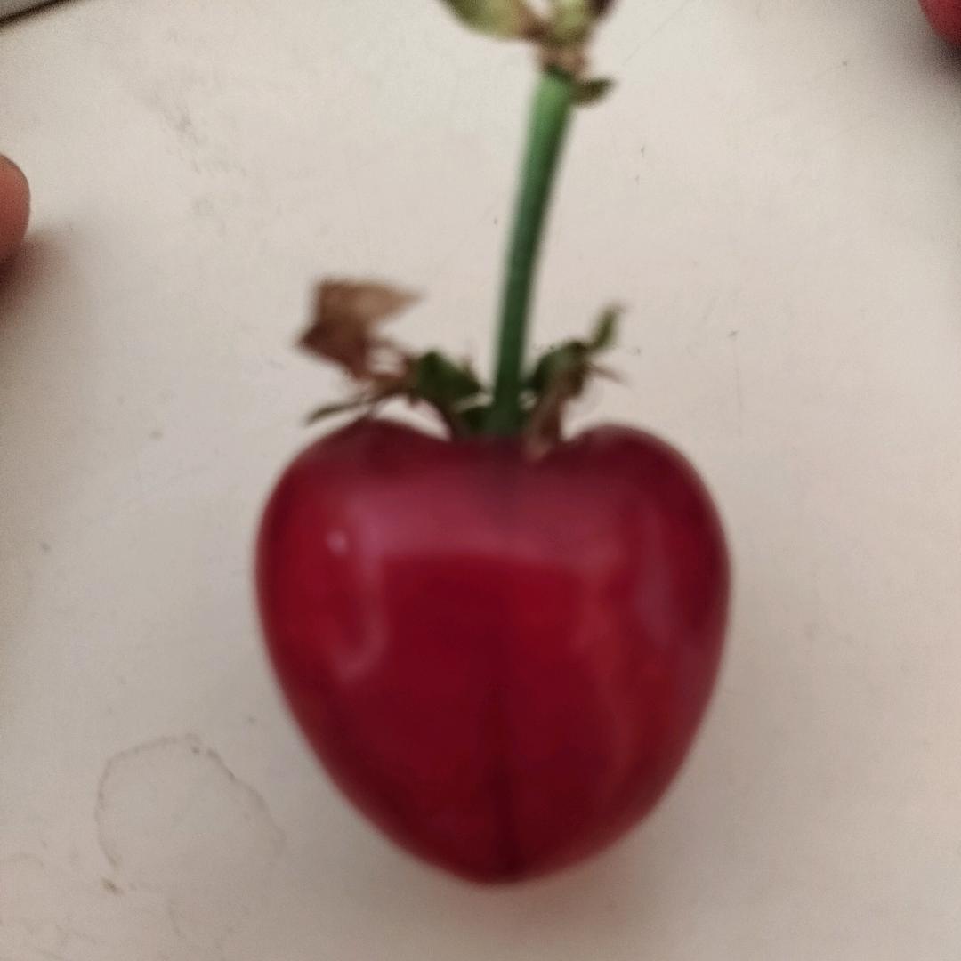生活靠自己