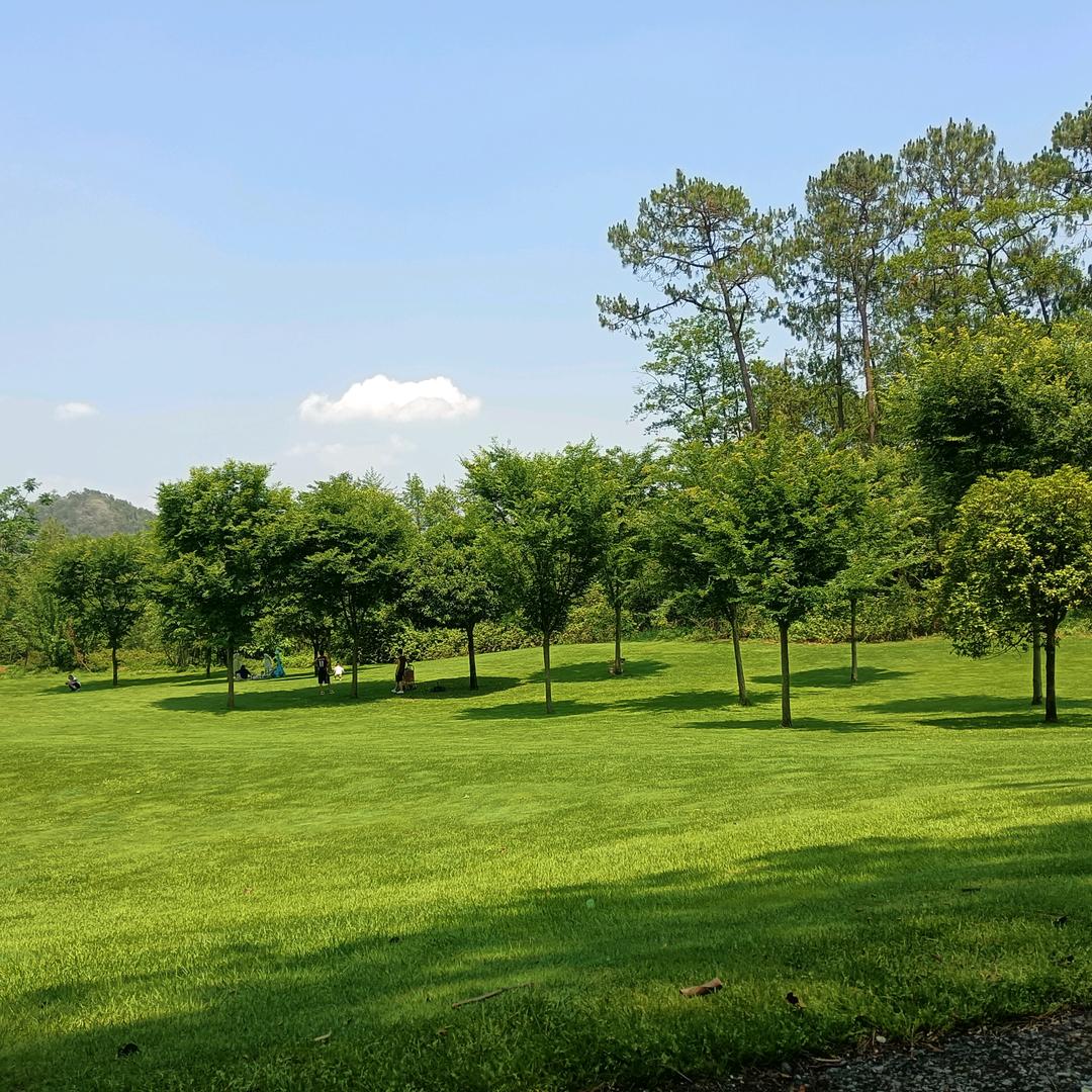 天使之翼（拒绝私聊，拒绝连攒）