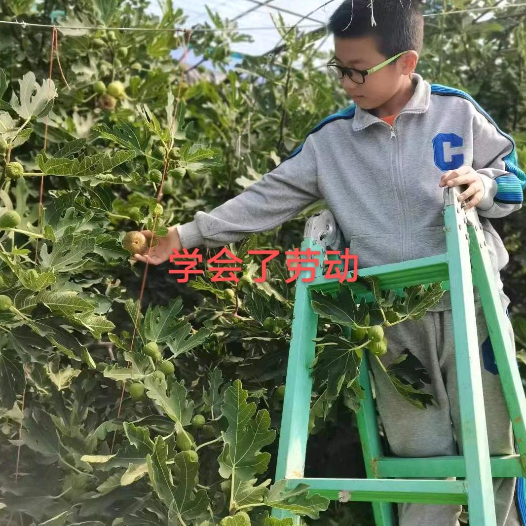 心情愉快