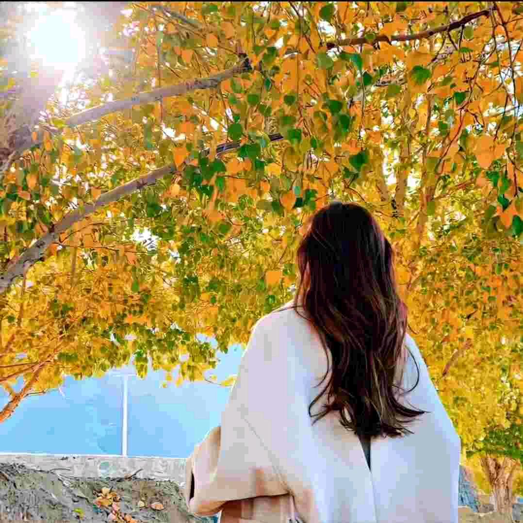 清扬妈妈15：30开播