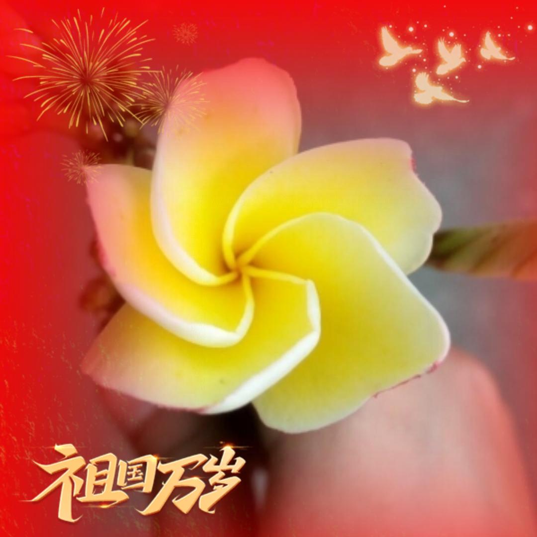 豪“诚壮志♥*^_^*