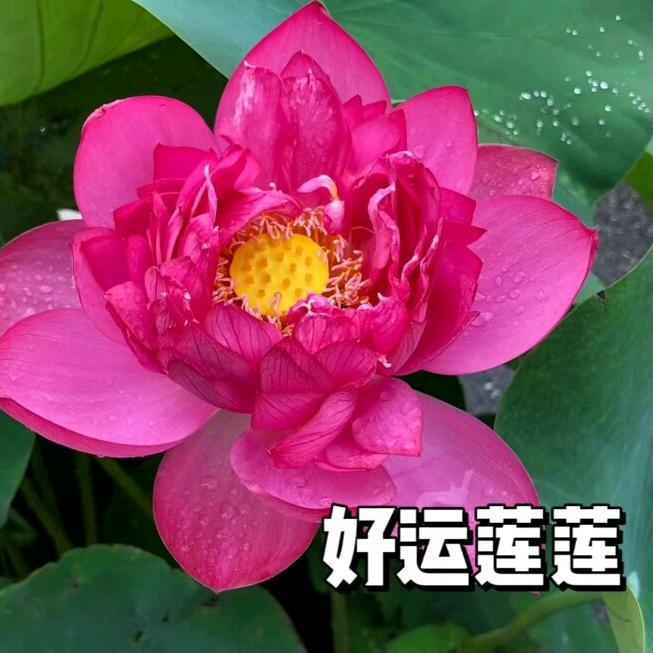 快乐就幸福
