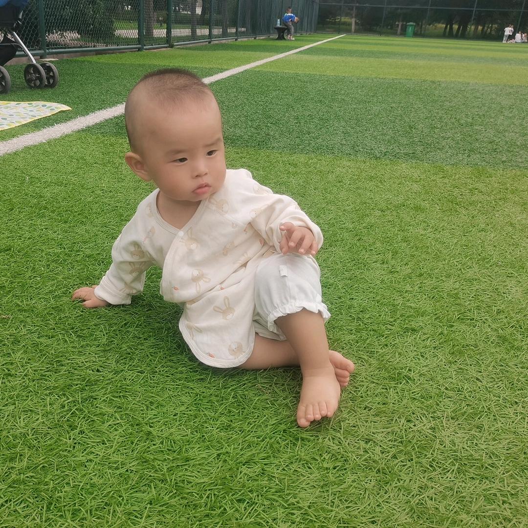 小哲哲成长记