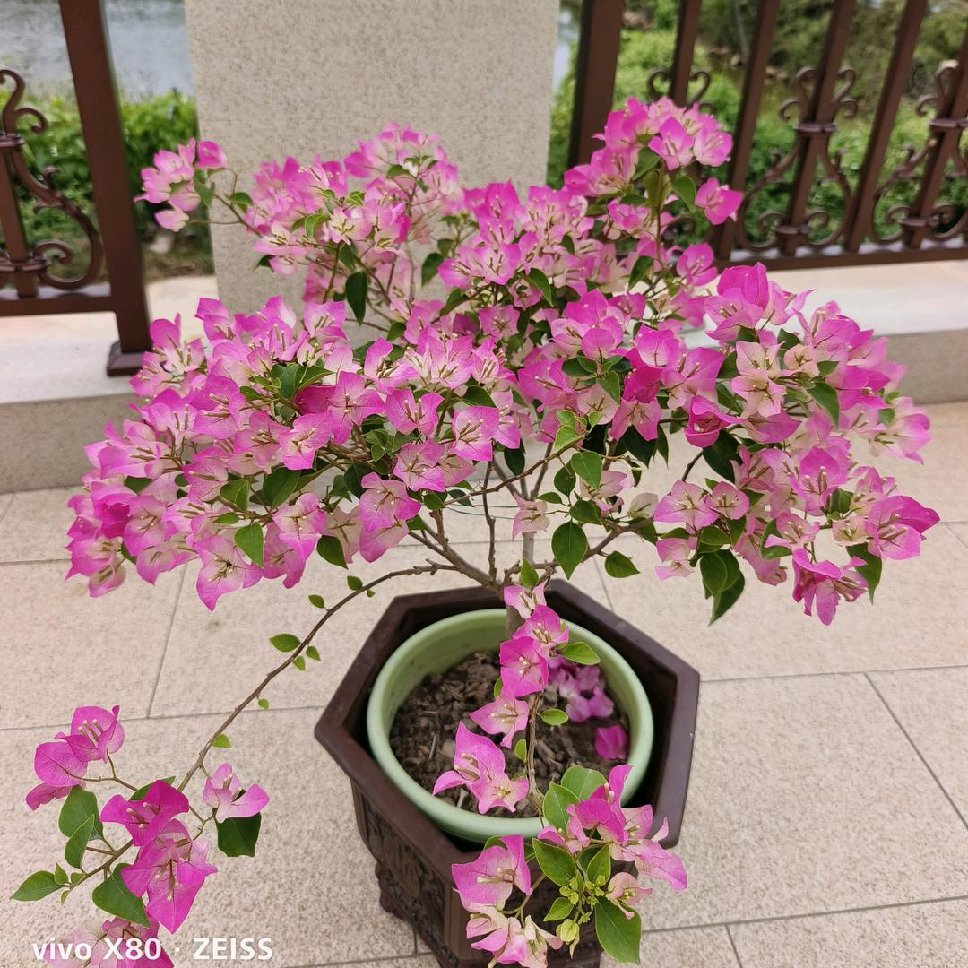 山水间农资严选