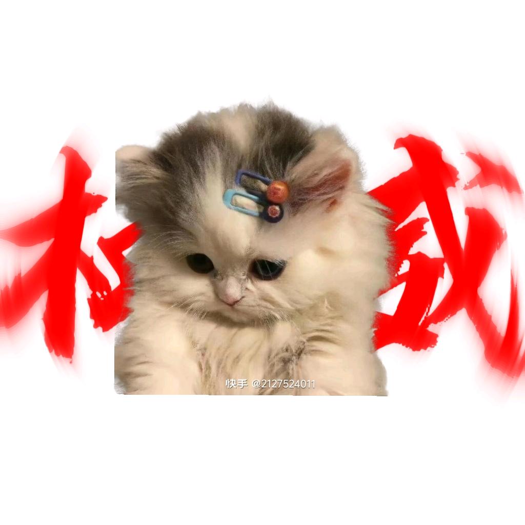 小樱桃🍒