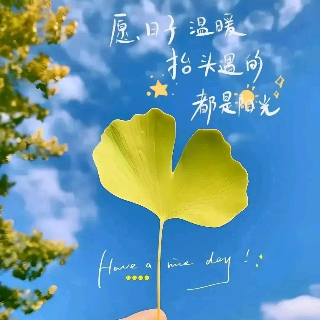陌然