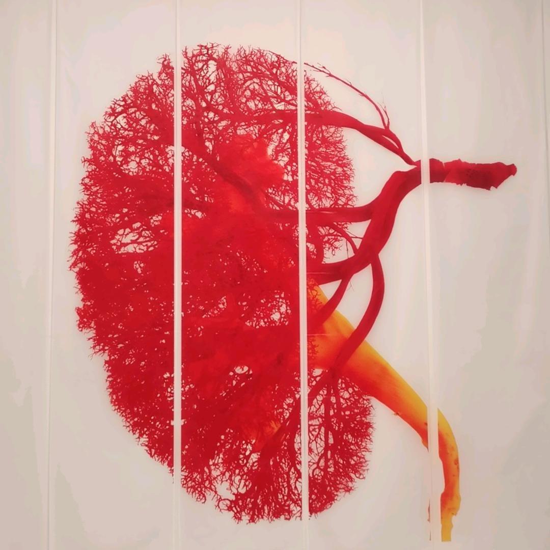 秋分乖孙孙，太爷爷爱你哦😘