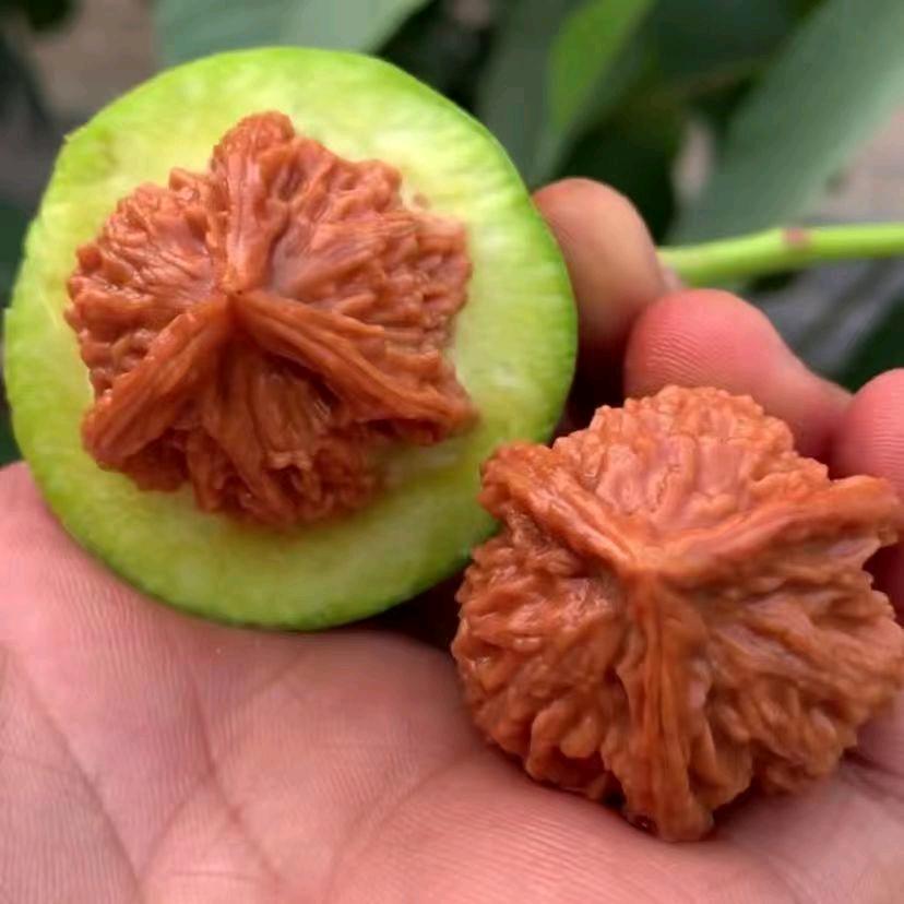 巧匠工艺优品小铺