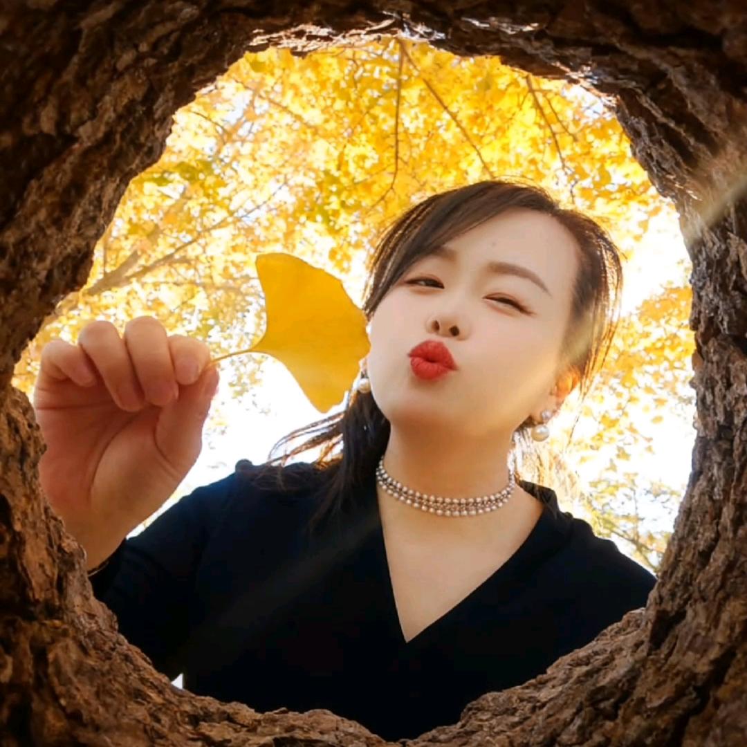 菩提的微笑🍁