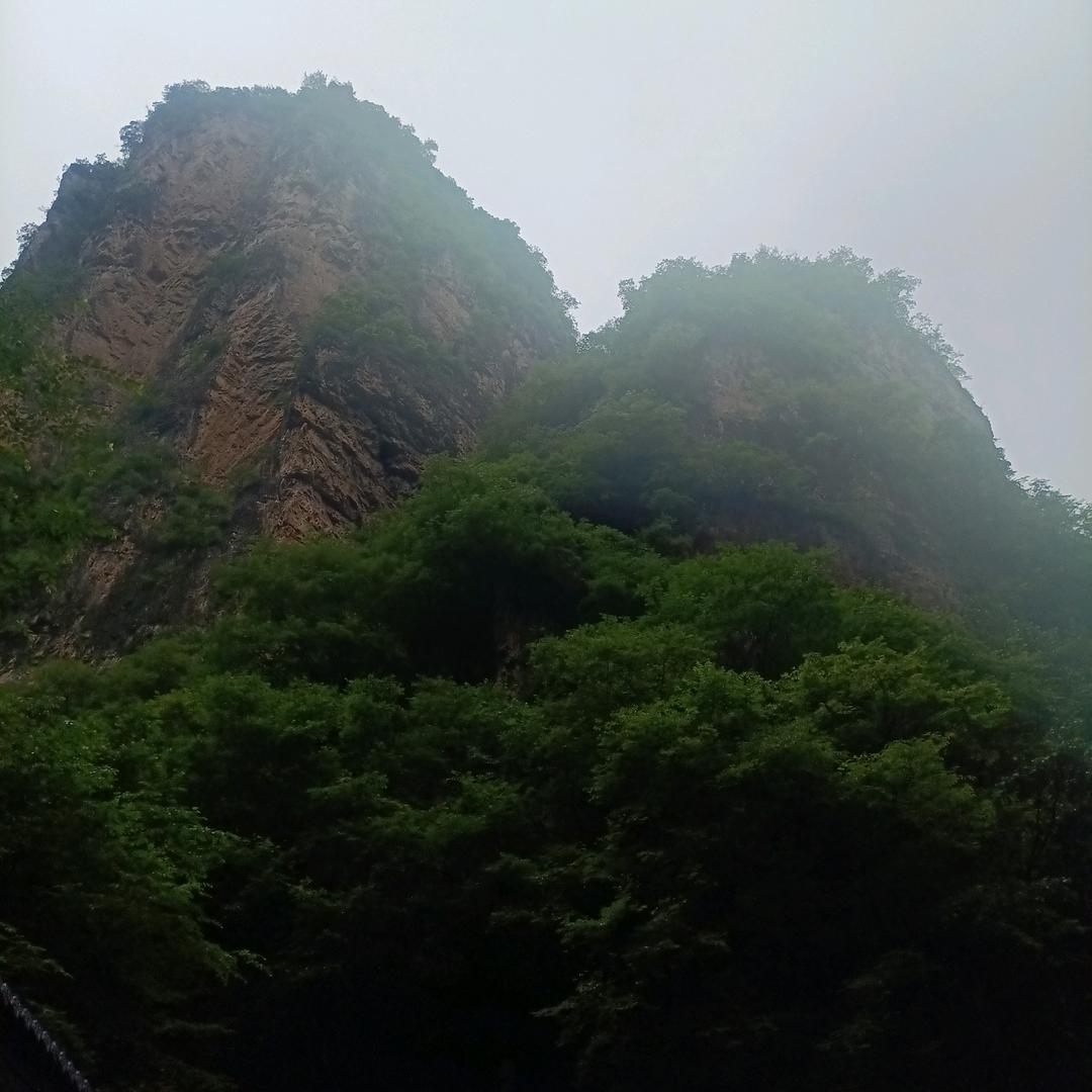 专业贴砖
