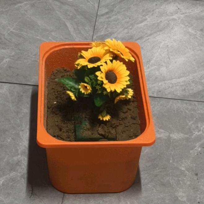 小y（BSK组局版）招🔫