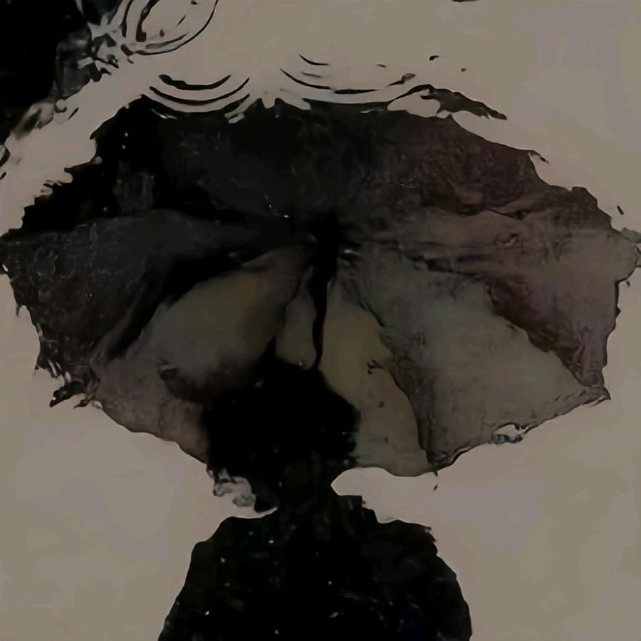梧桐