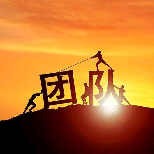 向往华丽的月光