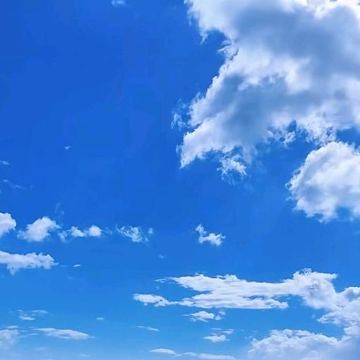 洲