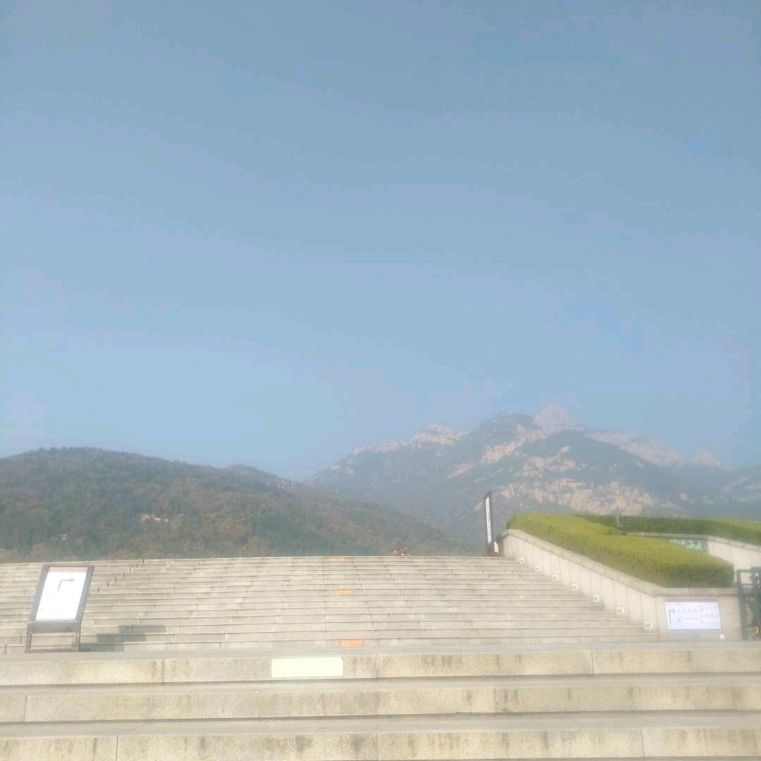 醉今生