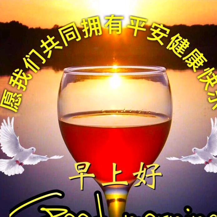💋菊💋