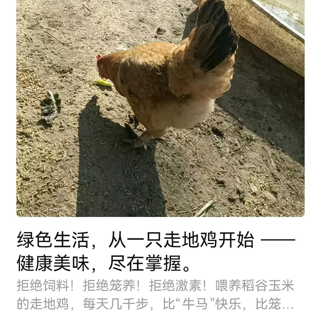 绿色养殖
