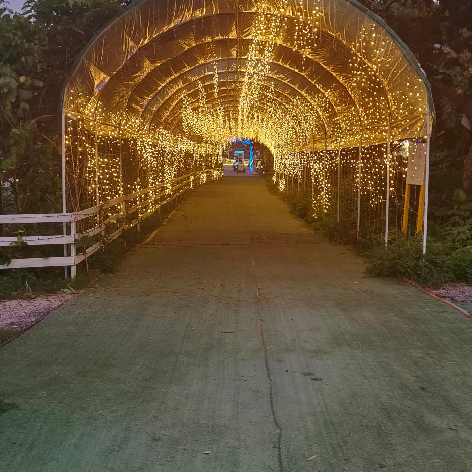 今生有你陪《 有赞必回。》