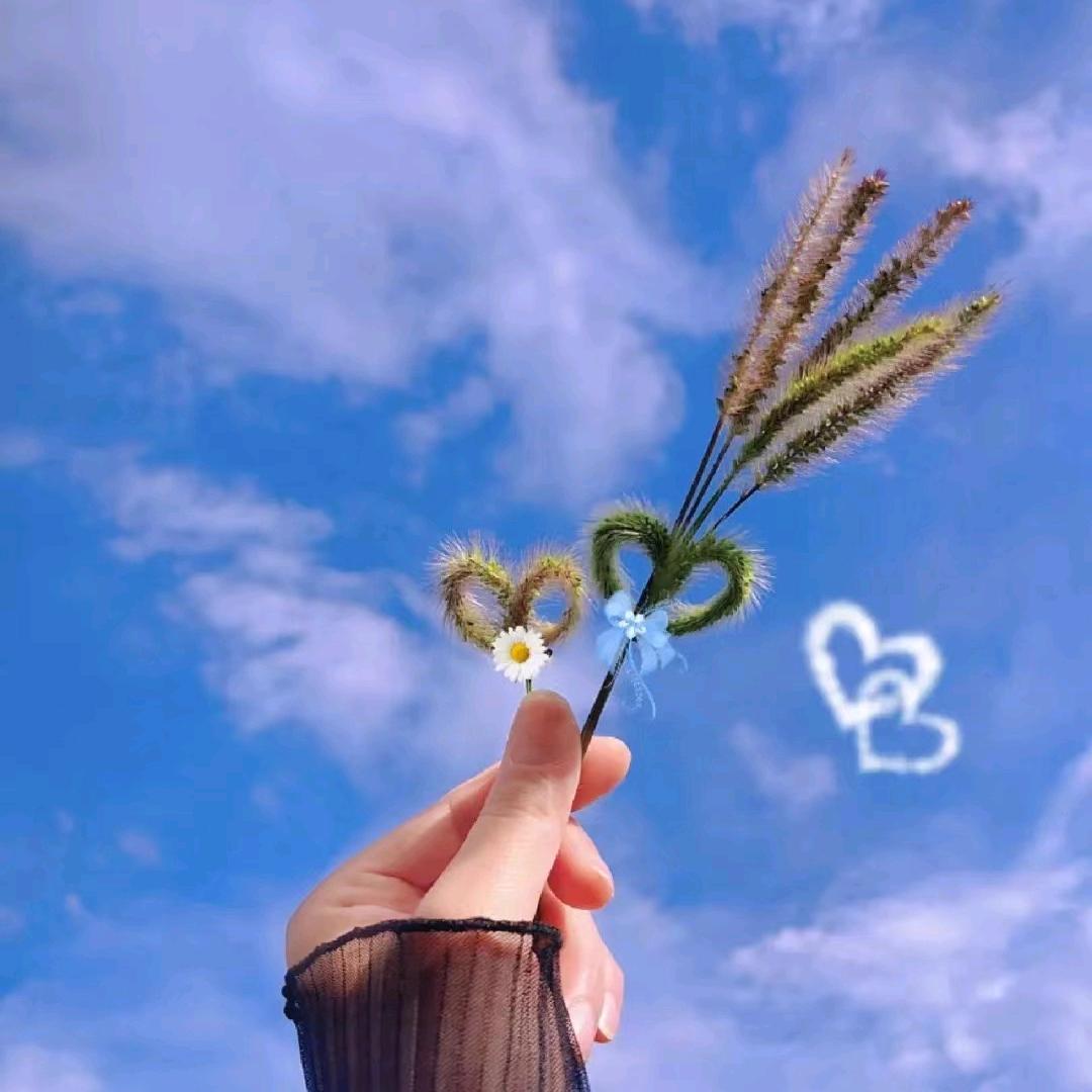 🌸晓晓🌸