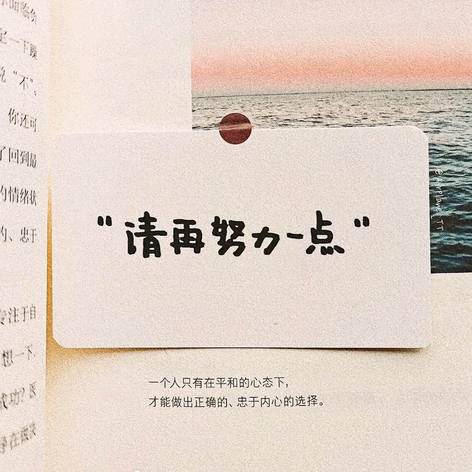 飞鸿踏雪泥